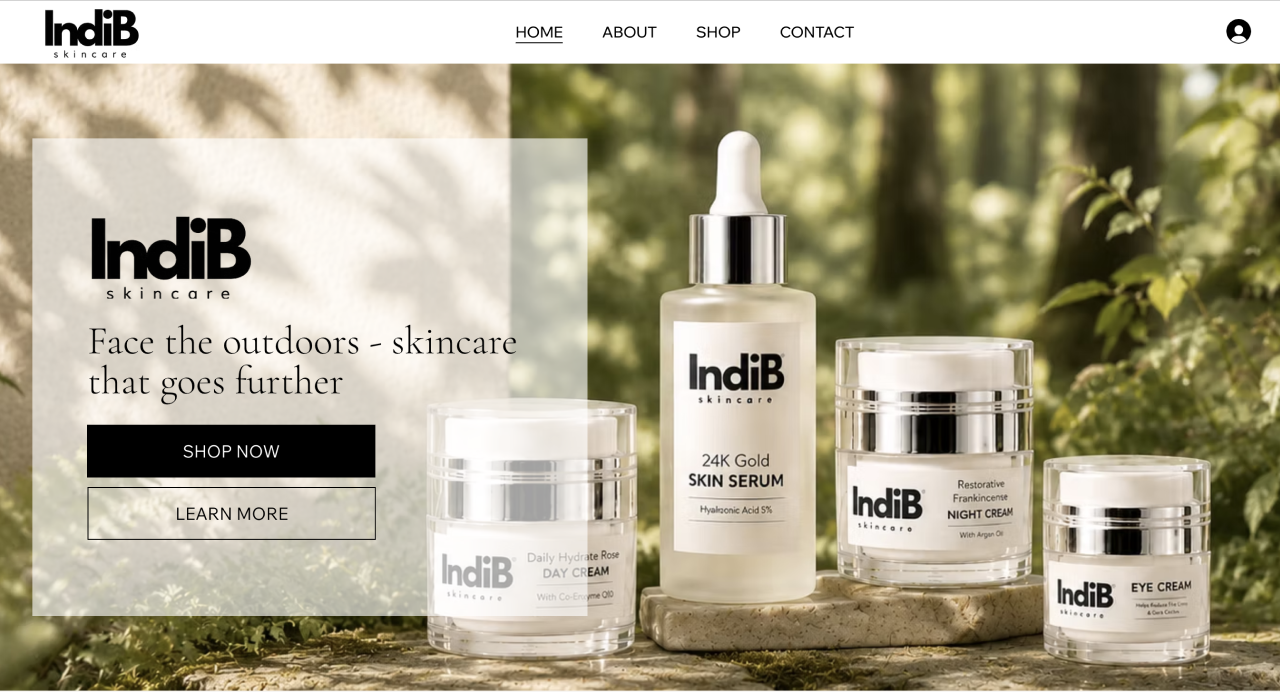 indiB Website